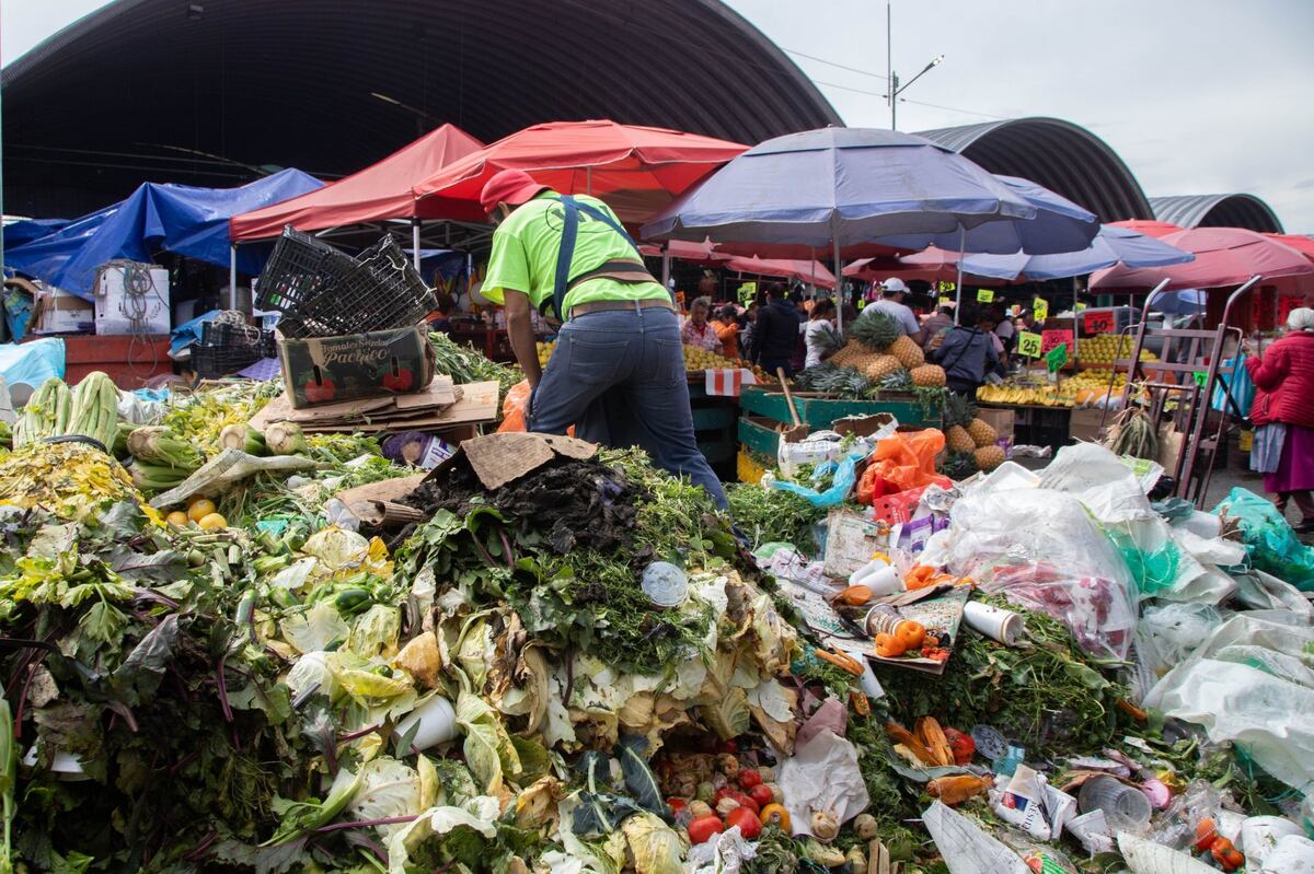 60% del desperdicio de alimentos proviene de los hogares